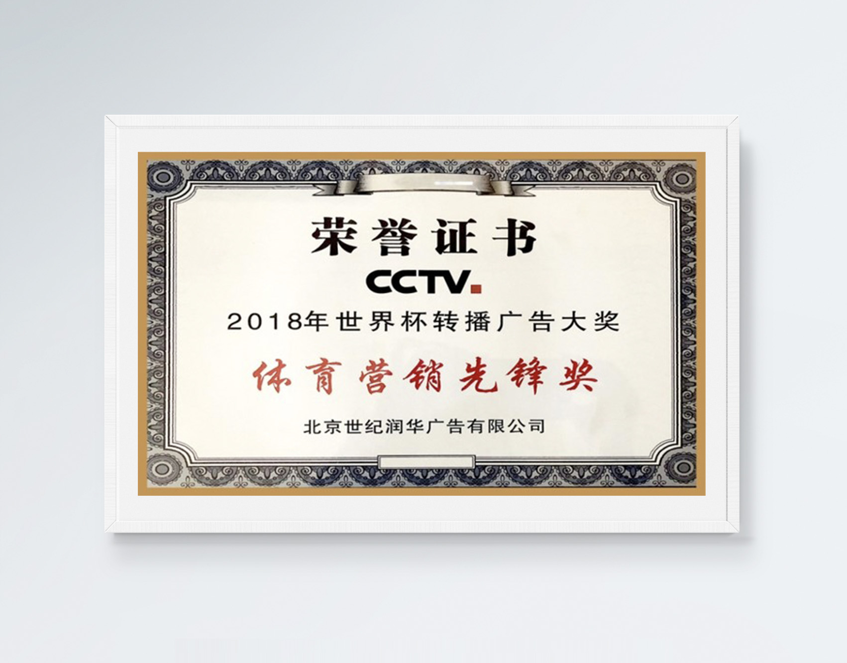2018年世界杯转播广告大赛体育营销先锋奖