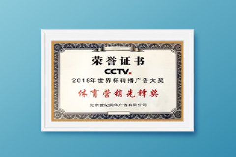 2018年世界杯转播广告大赛体育营销先锋奖