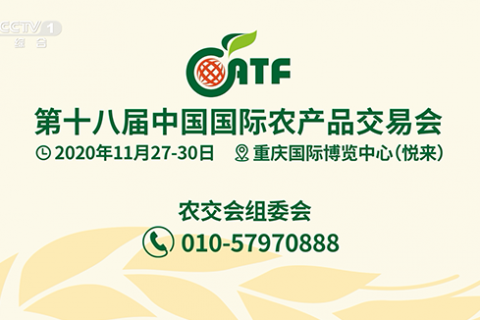 第十八届农交会登陆《晚间新闻》