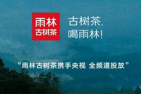 雨林古树茶—携手总台CCTV“民族匠心品牌”