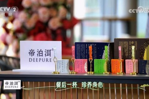 帝泊洱-2023年《中国米食大会》特别支持