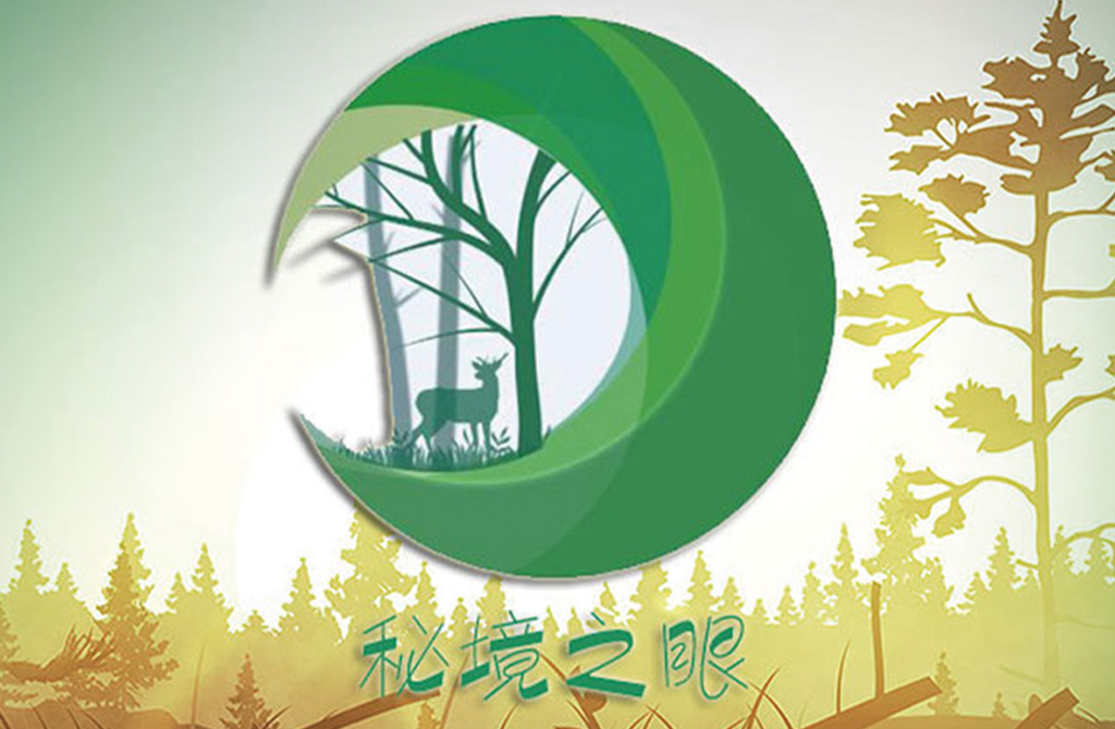 《秘境之眼》