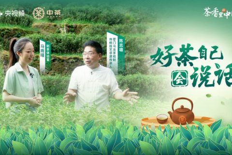 中茶集团-央视频《茶香里的中国》内容共创