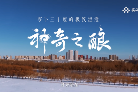 北大仓君妃酒-央视频“神奇之酿”短视频定制
